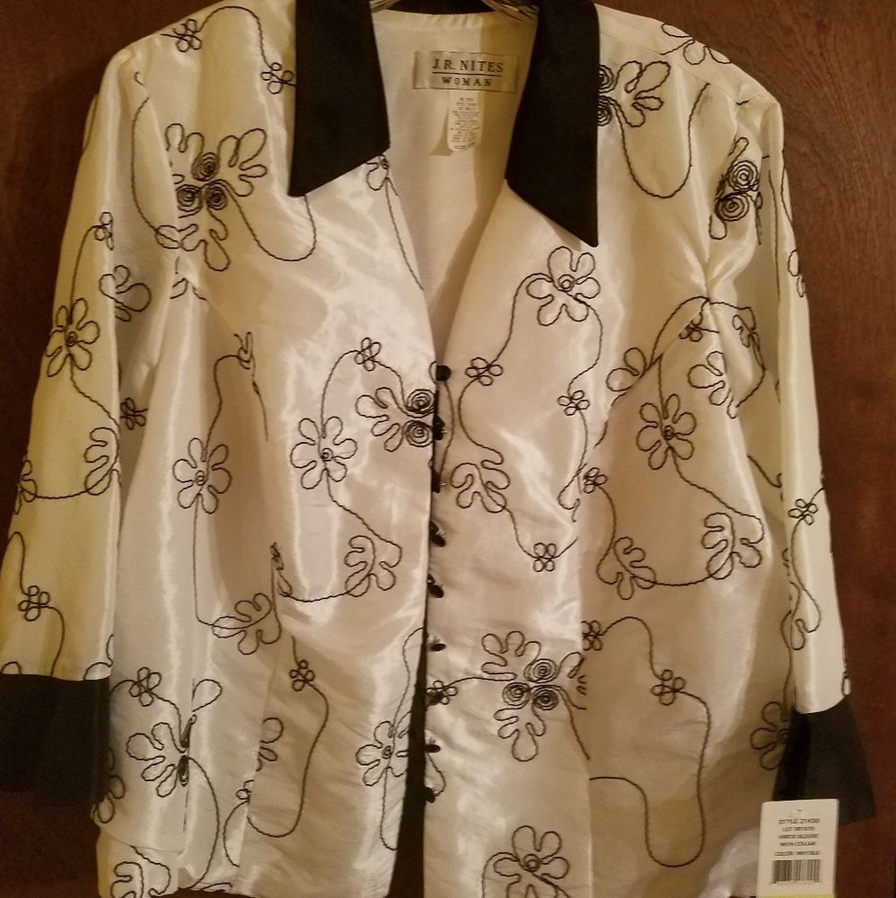 Dressy V Neck Blouse